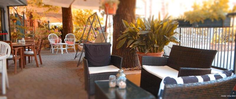 Фото Hotel Villa Mirna