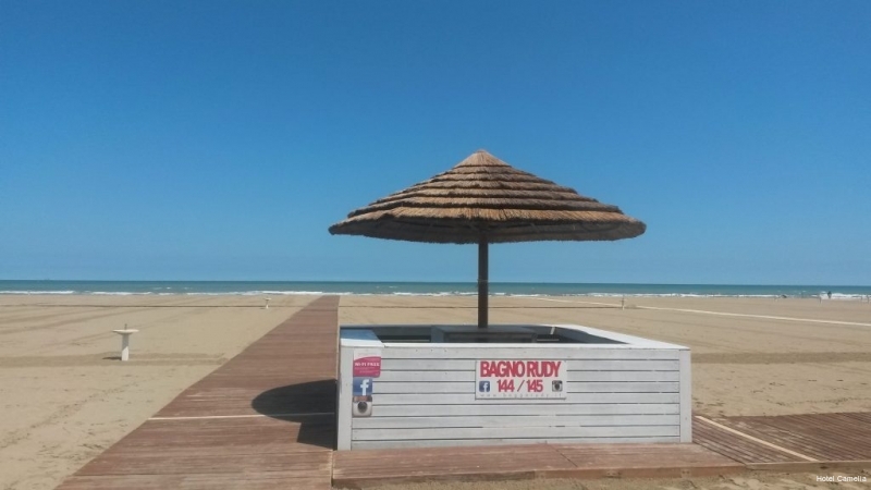 Фото Hotel Camelia