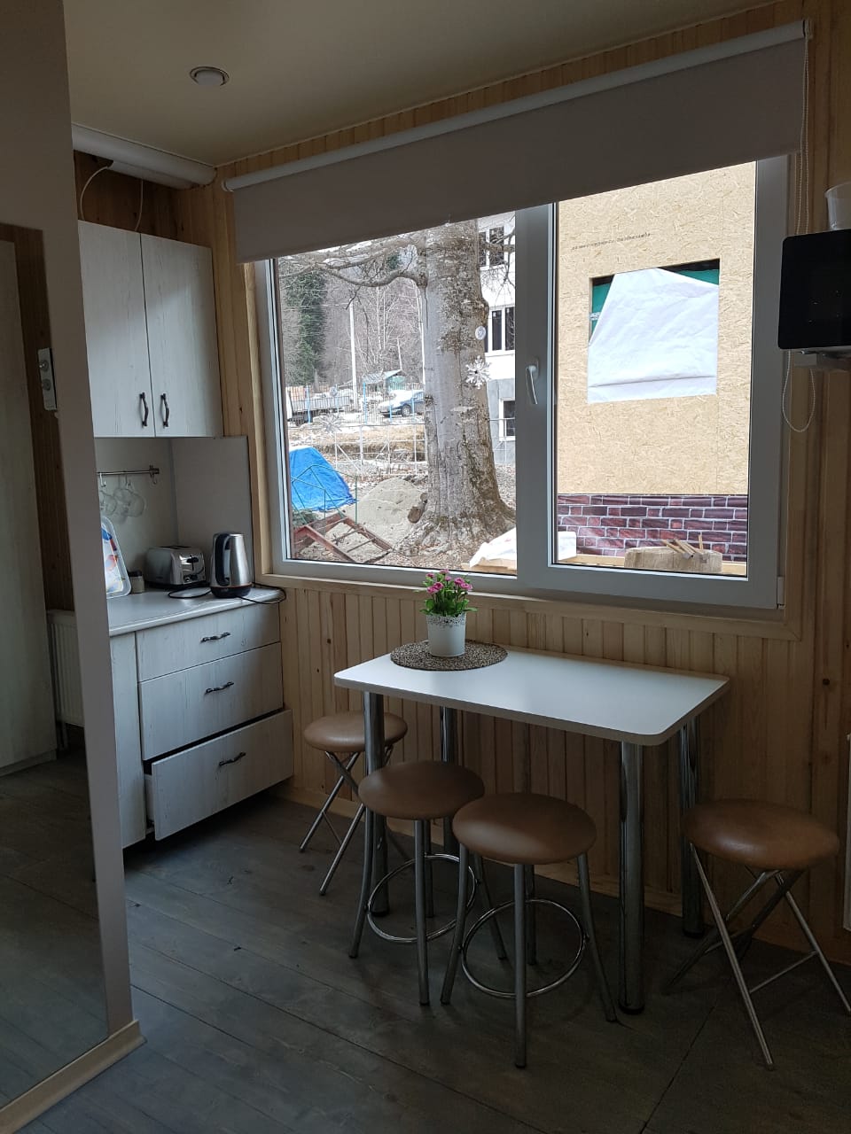 Фото Чинара