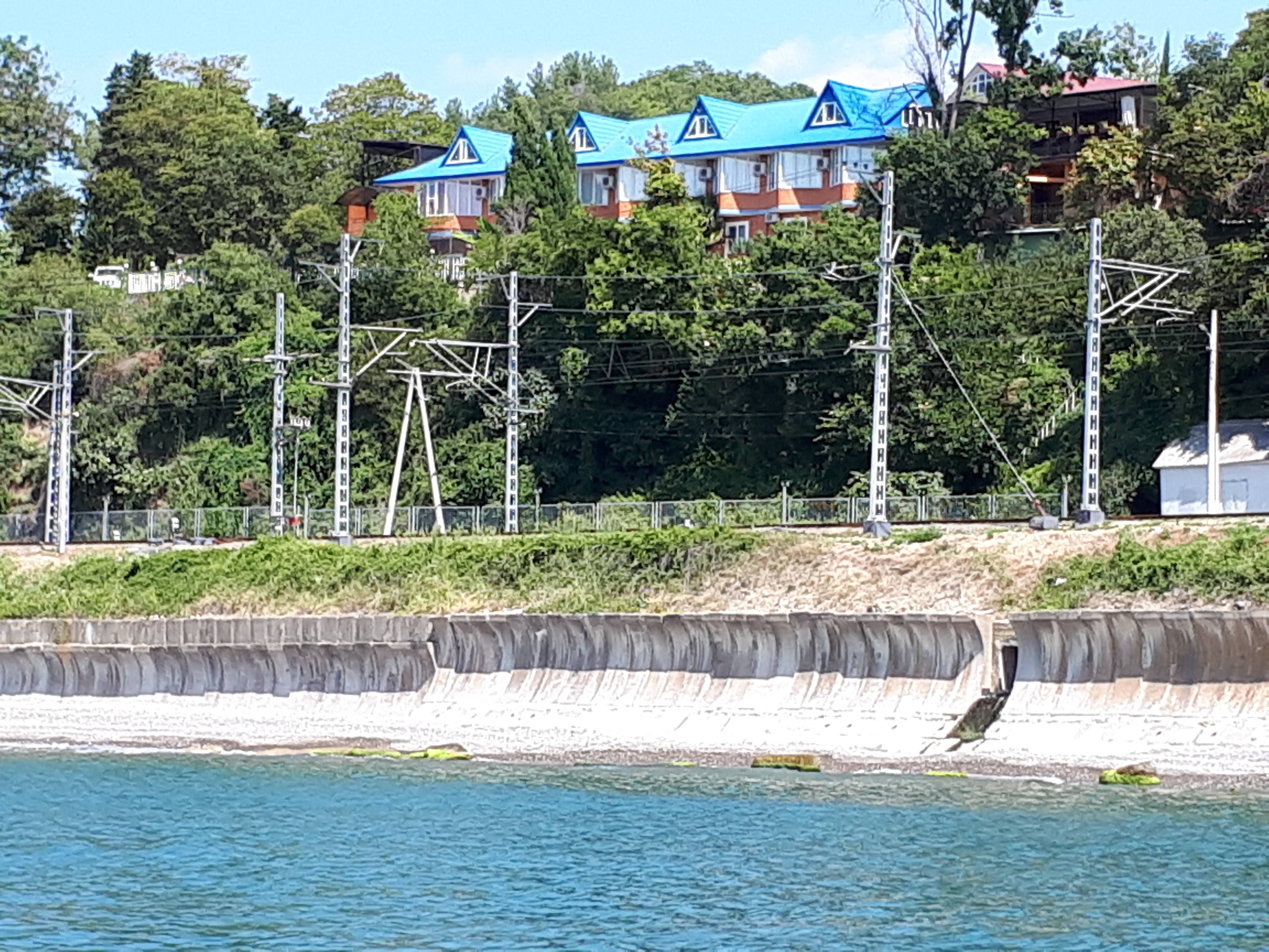 Фото Чемитка