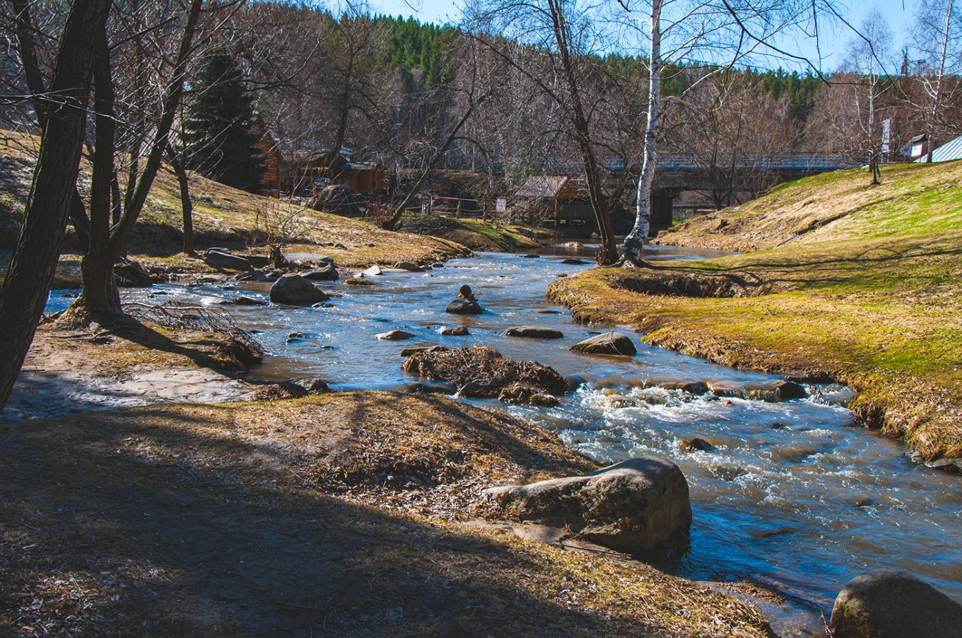 Фото Старые друзья Белокуриха