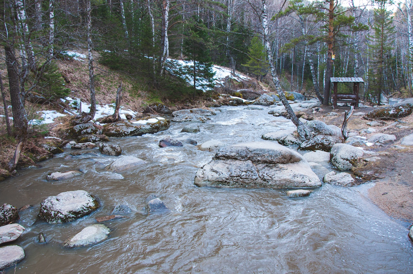 Фото Старые друзья Белокуриха