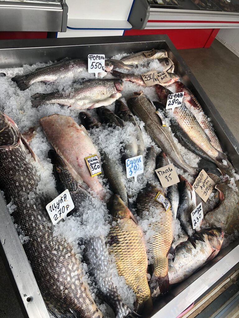 Золотая рыбка державинская ул 5 всеволожск фото Золотая Рыбка, рыба и морепродукты, Державинская ул., 5, Всеволожск - Яндекс Кар