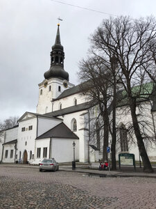 The Cathedral of Saint Mary the Virgin in Tallinn (Tallinn, Toom-Kooli street, 6), protestant church