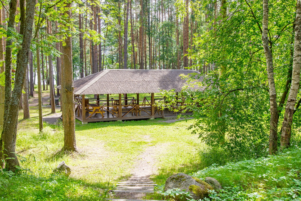 Фото Лосево Парк