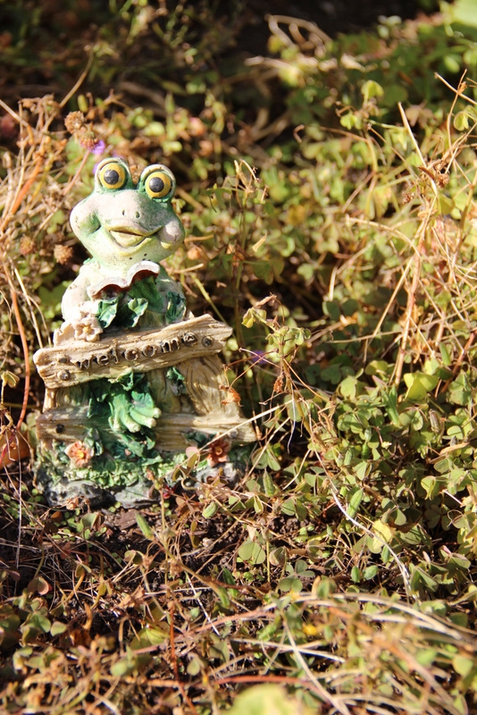 Фото Вилла Северин