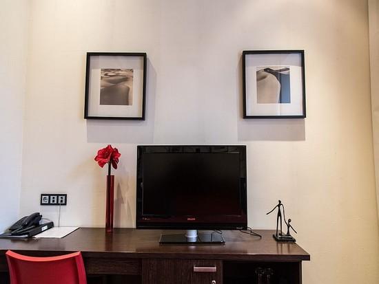 Фото Летучая мышь