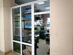 Магазин аквариумов (Могилёв, Пионерская ул., 48), аквариумы в Могилёве