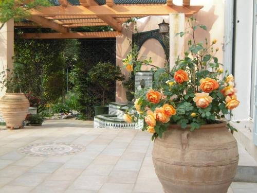 Фото Villa Valflor