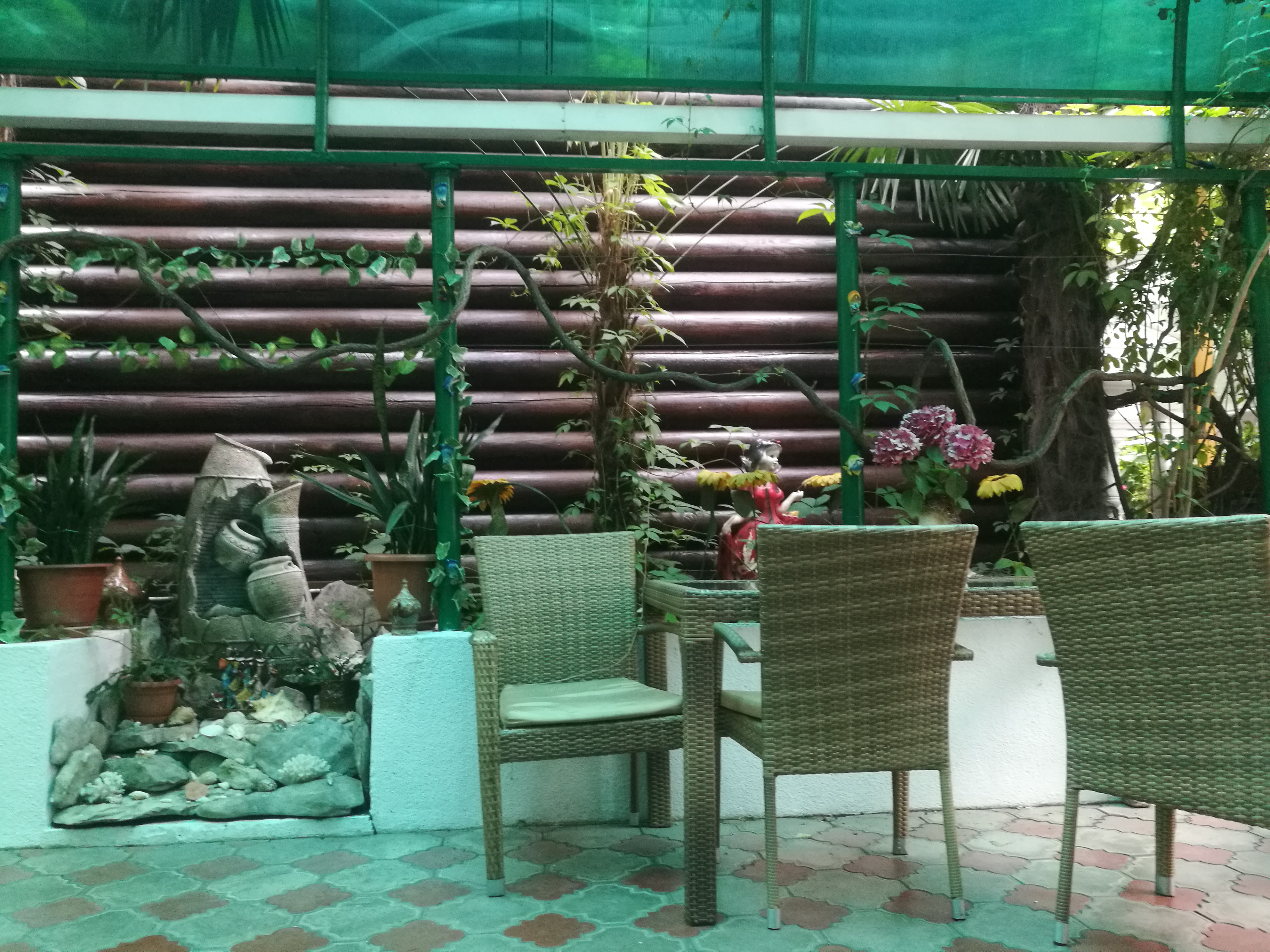 Фото Эдельвейс