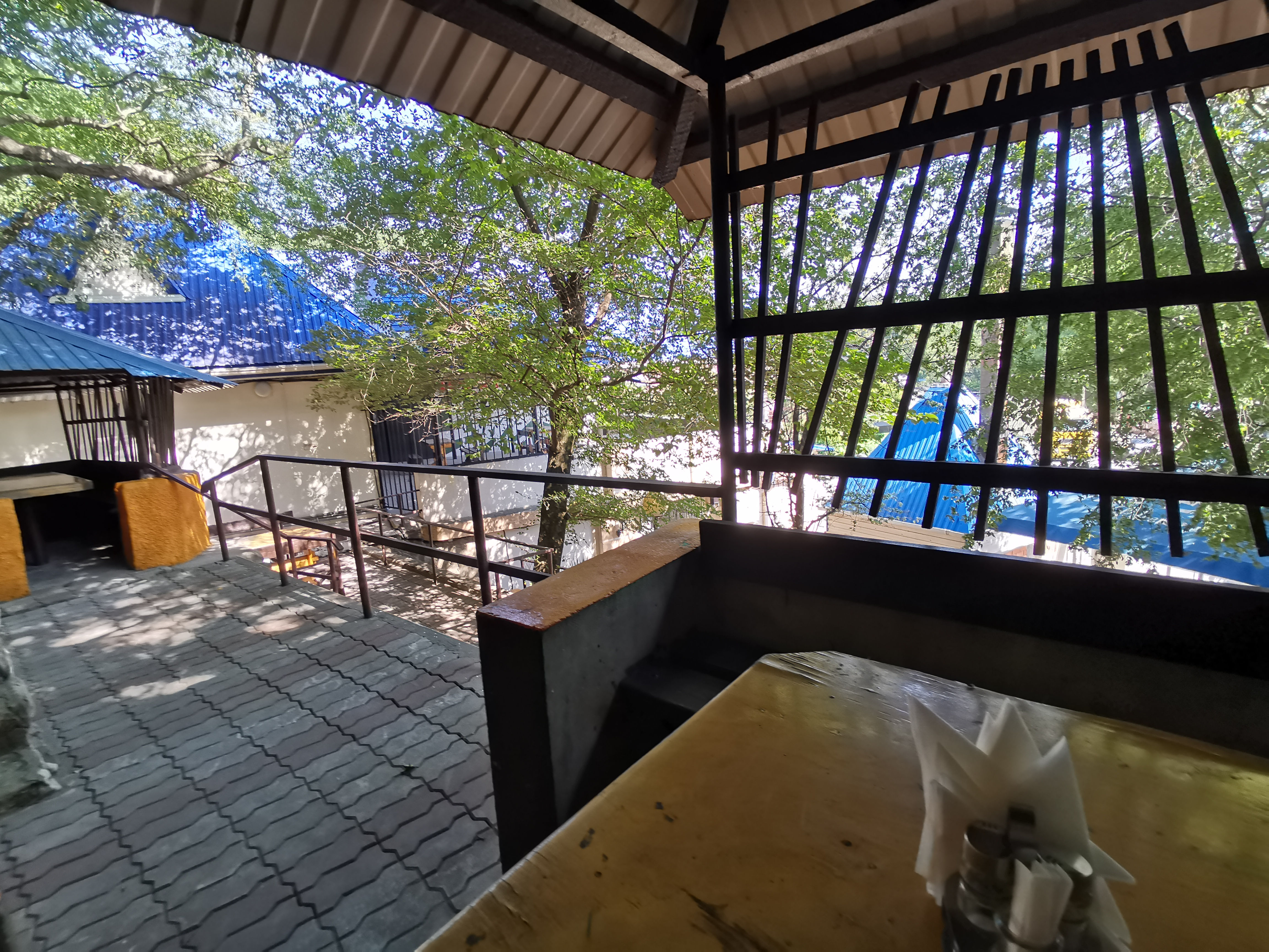 Фото Встреча