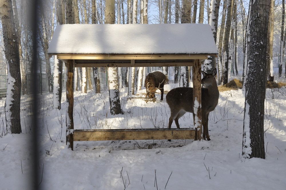 Фото Санаторий Бакирово