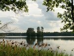 ГБУ РМЭ Социально-реабилитационный центр для несовершеннолетних Журавушка (Republic of Mari El, Zvenigovskiy rayon, Kokshayskoye selskoye poseleniye), campamento de vacaciones para niños
