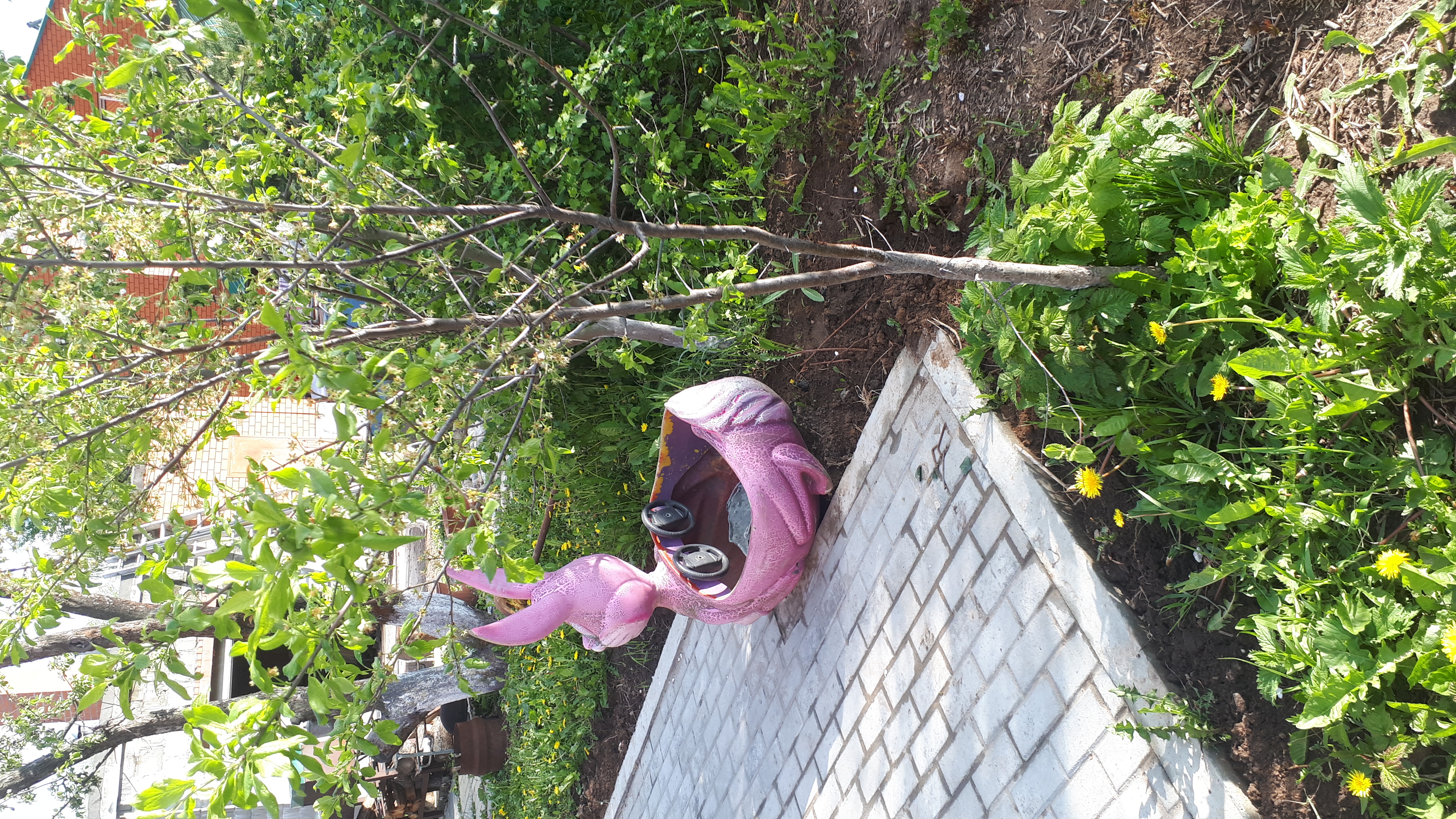 Фото Дистанция