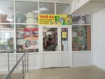 Знай-ка (ул. Полежаева, 57), магазин канцтоваров в Саранске