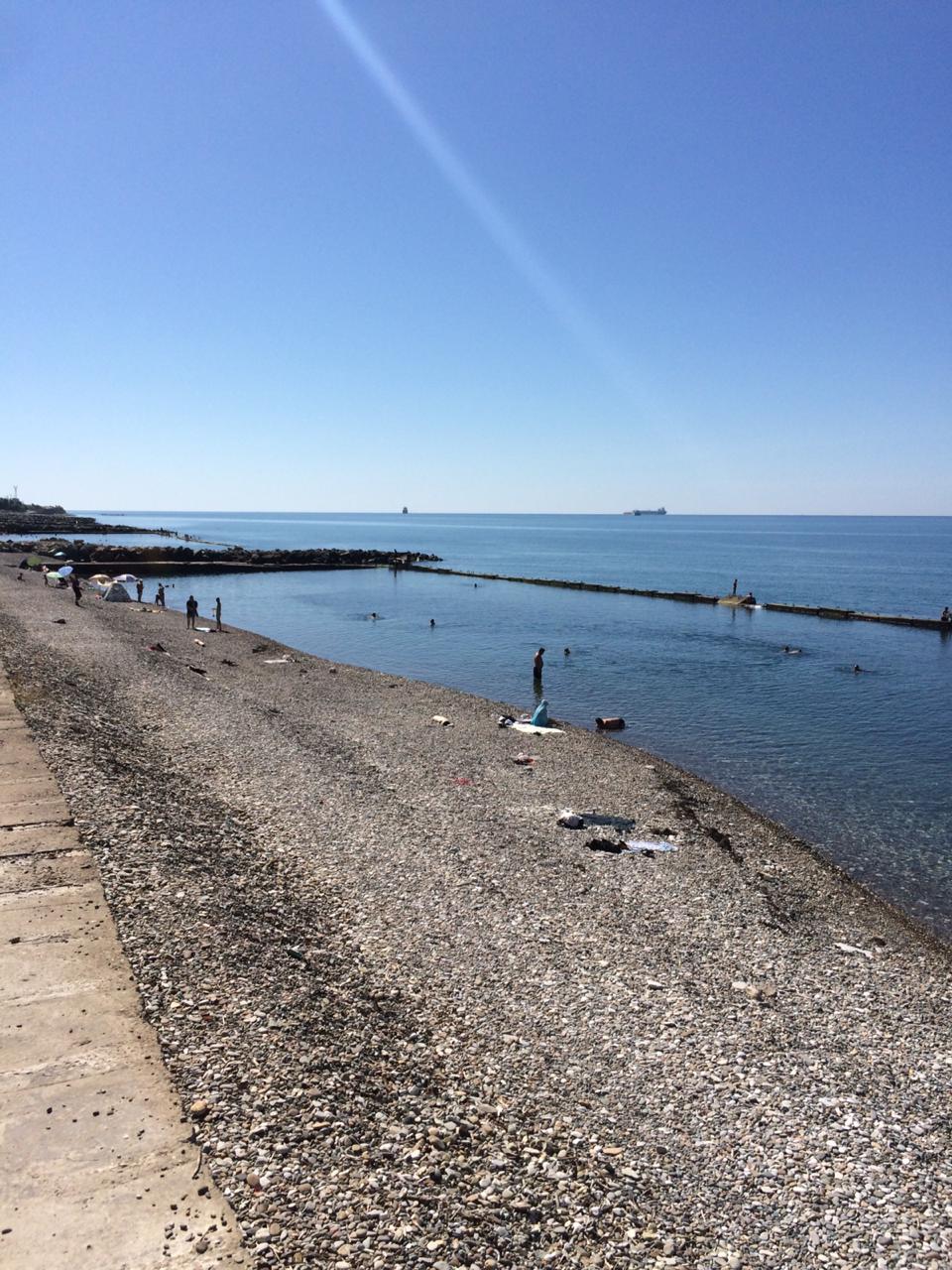 Фото Галина-чайка