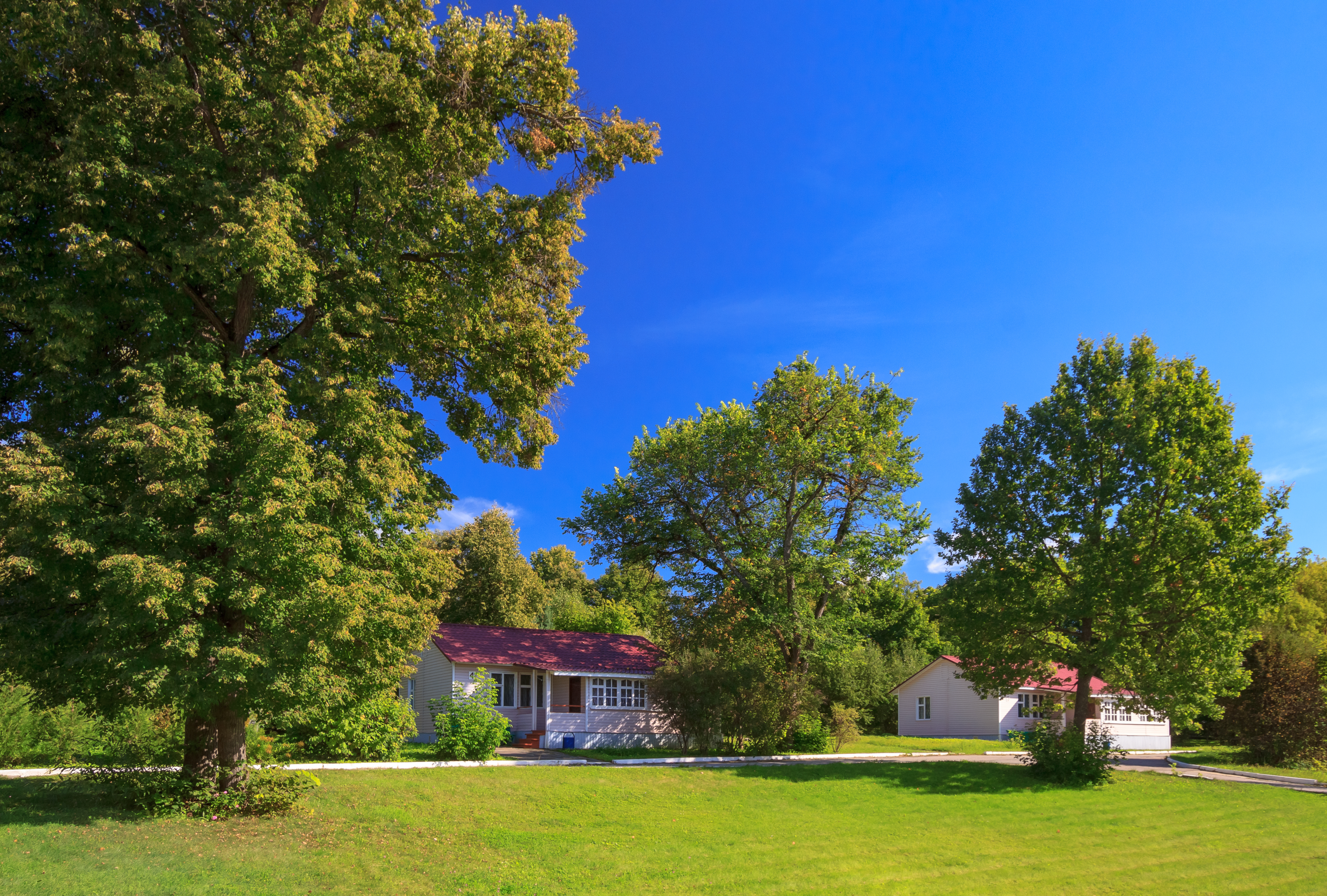 Фото Молния