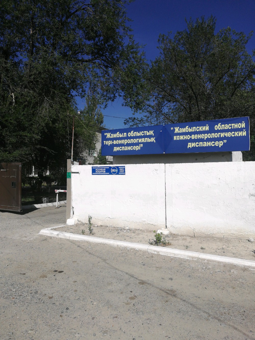 Бисексуалды сийіс