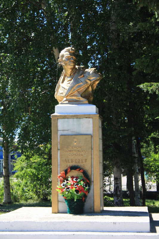 Карта село александровское томская область александровский район