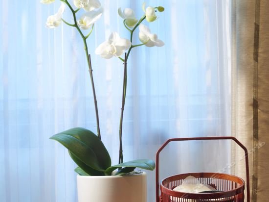 Фото Wharney Hotel