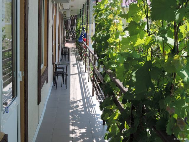 Фото Связь времен