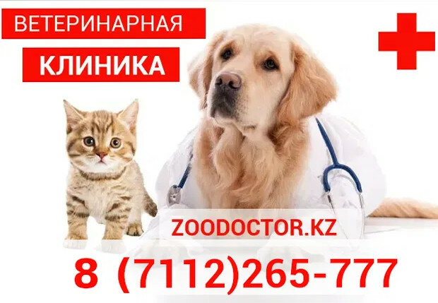 Pet shop ZOO DOCTOR, Uralsk, photo