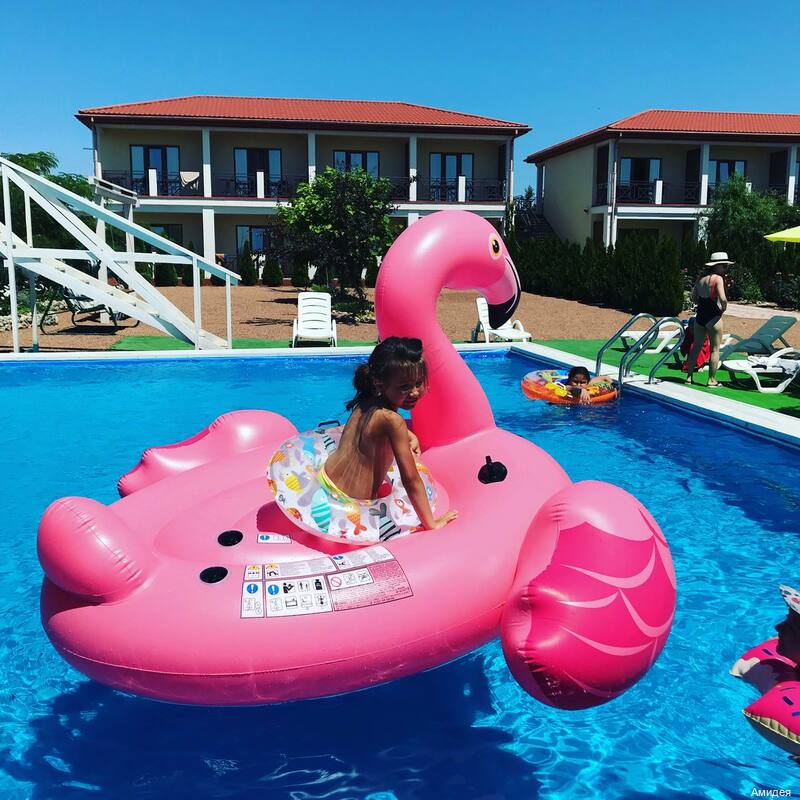 Фото Амидея