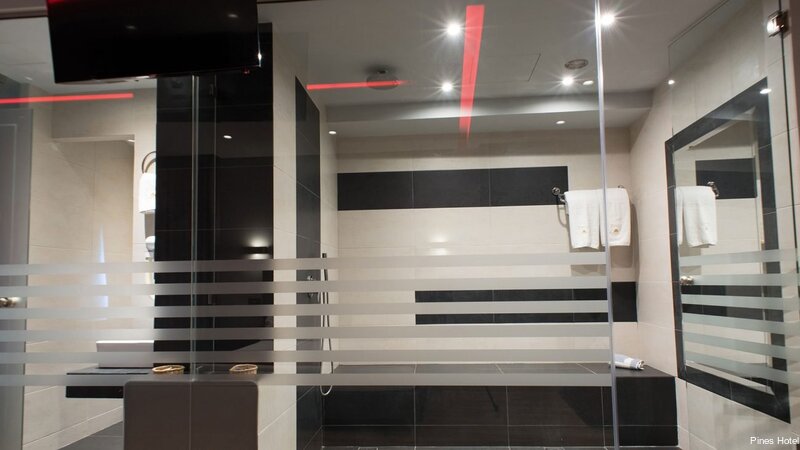 Фото Pines Hotel