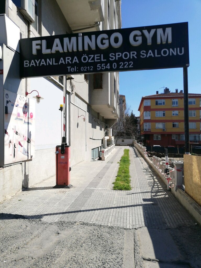 Spor ve jimnastik salonları Flamingo Fitness Gym, Bahçelievler, foto
