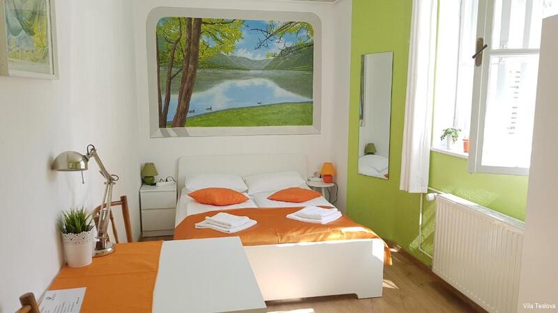 Фото Vila Teslova