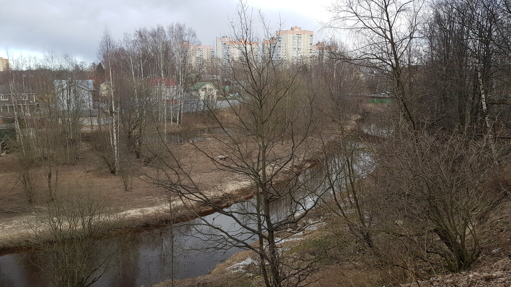 Парк в мурино