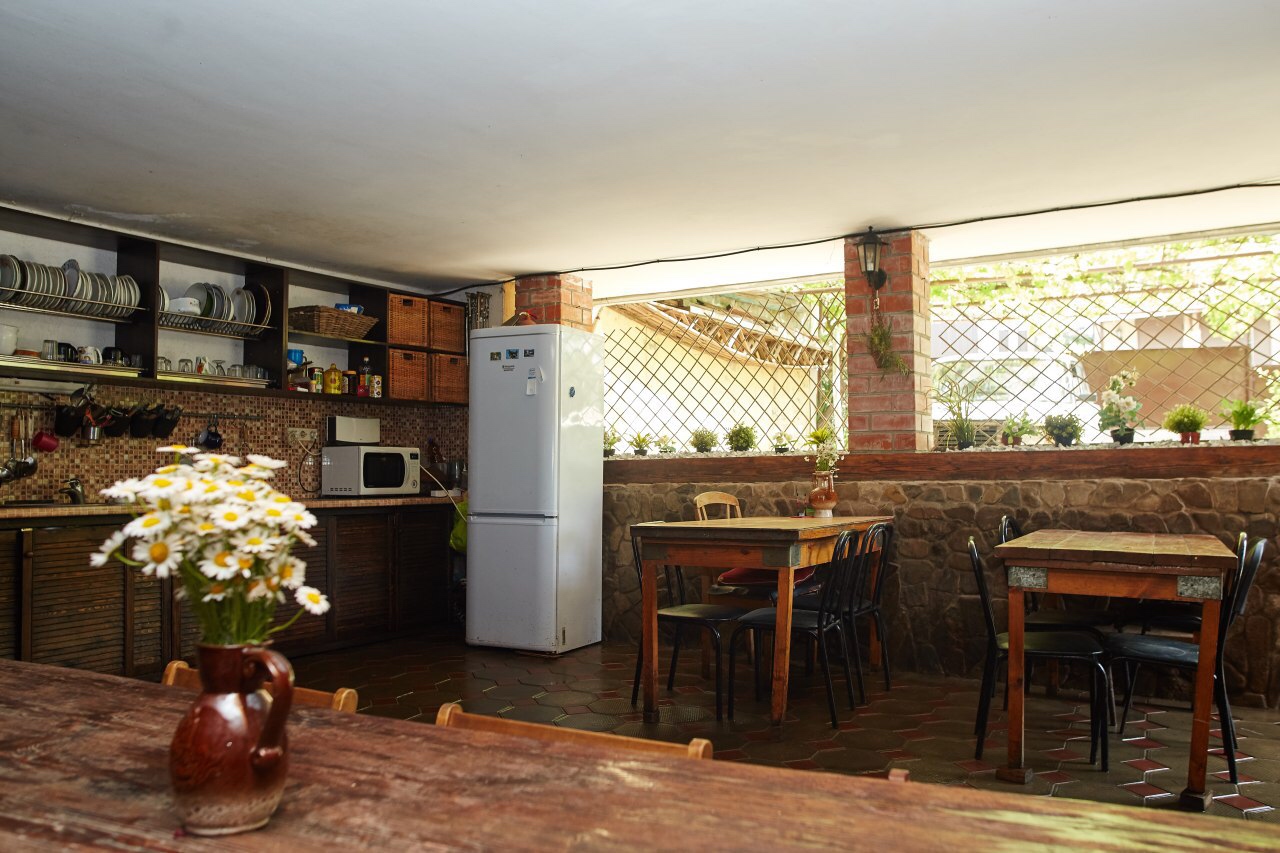 Фото Подсолнух