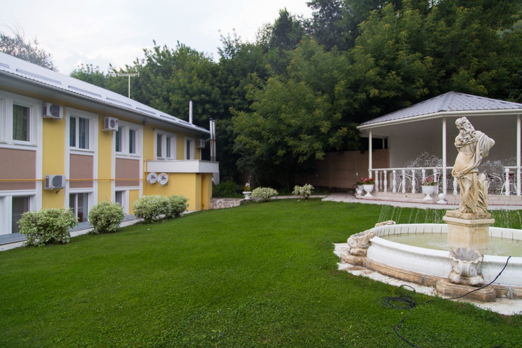 Фото Журавли