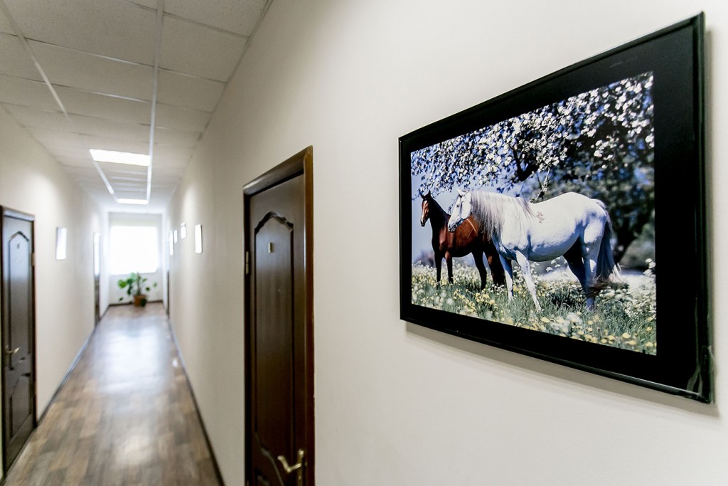 Фото Белый Сад