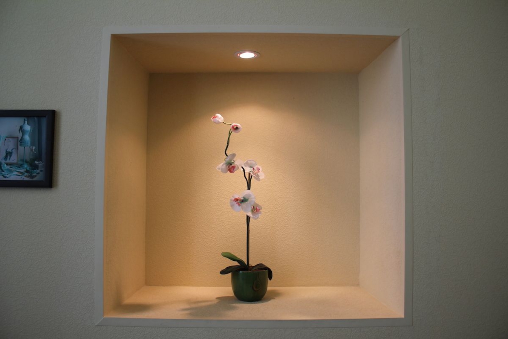 Фото Рапсодия