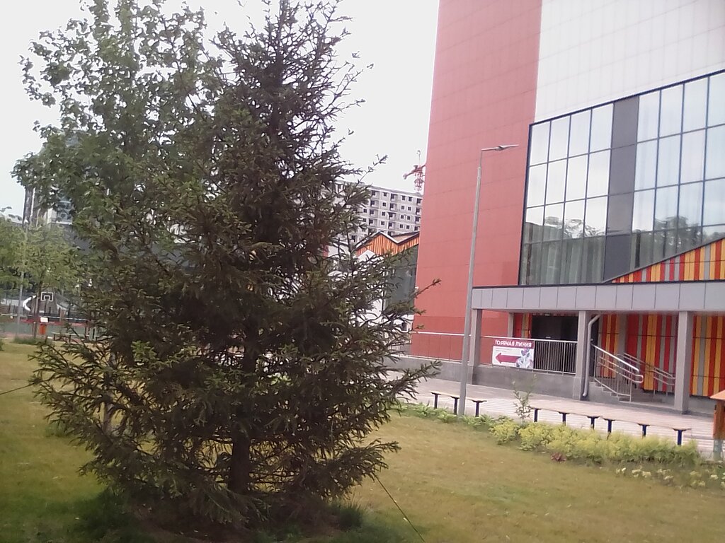 Школа 548 царицыно