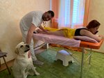 Massage Profi (Sibirskaya Street, 46), massage salon
