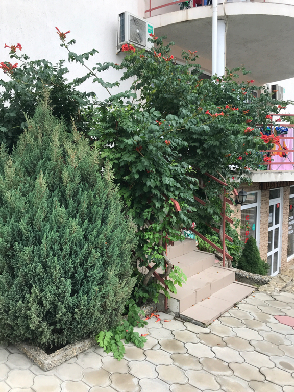 Фото Альпийский двор