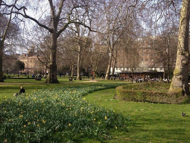 Фото Morton Hotel