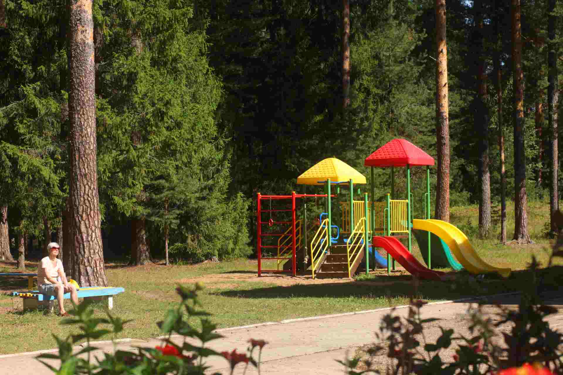 Фото Сосновый Бор