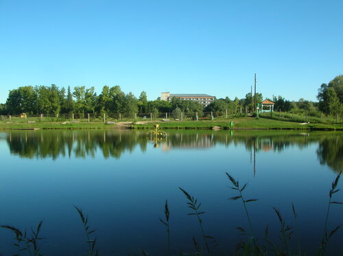 Санаторий Сосновый бор в Барнауле