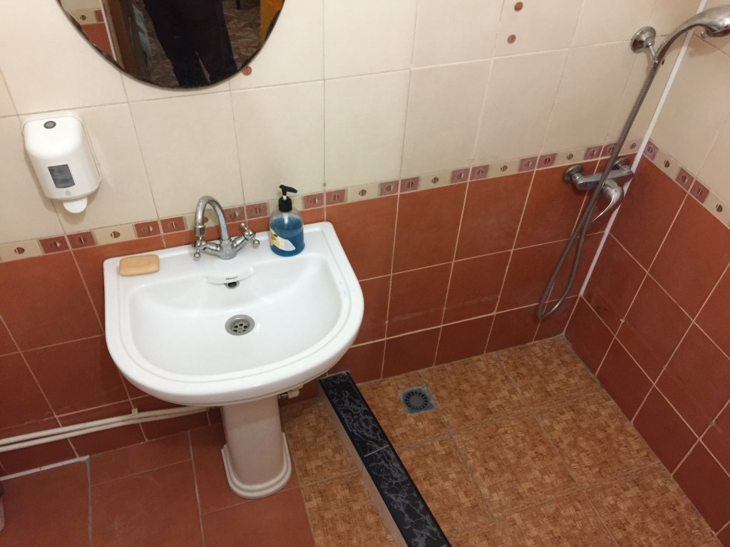 Фото Тополя