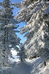 Kurort Goryachinsk (Village of Goryachinsk, Oktyabrskaya Street, 9) ، منتجع