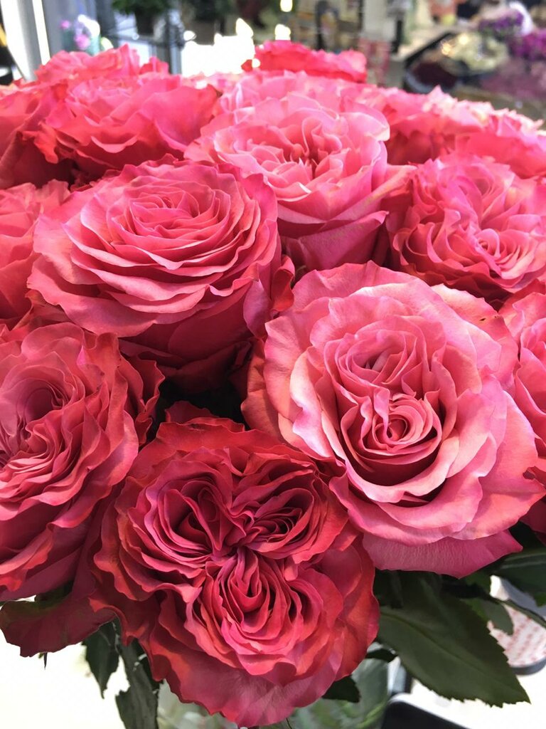 Floristeria Tsvetochny magazin Sapori d amore, , foto