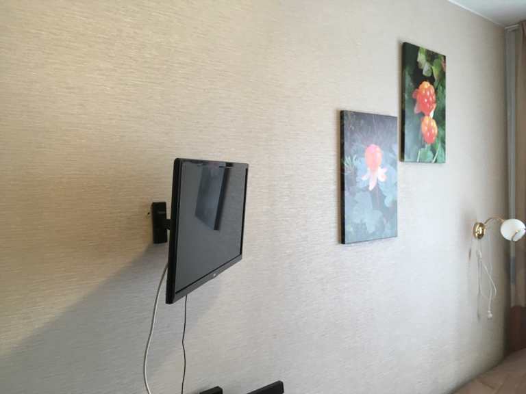 Фото Морошка