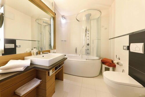 Гостиница Alp & x26; Wellness Hotel Mota в Ливиньо