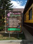 Amore Fiori (Zmeinogorsk, ulitsa Lenina, 50) ، محل زهور