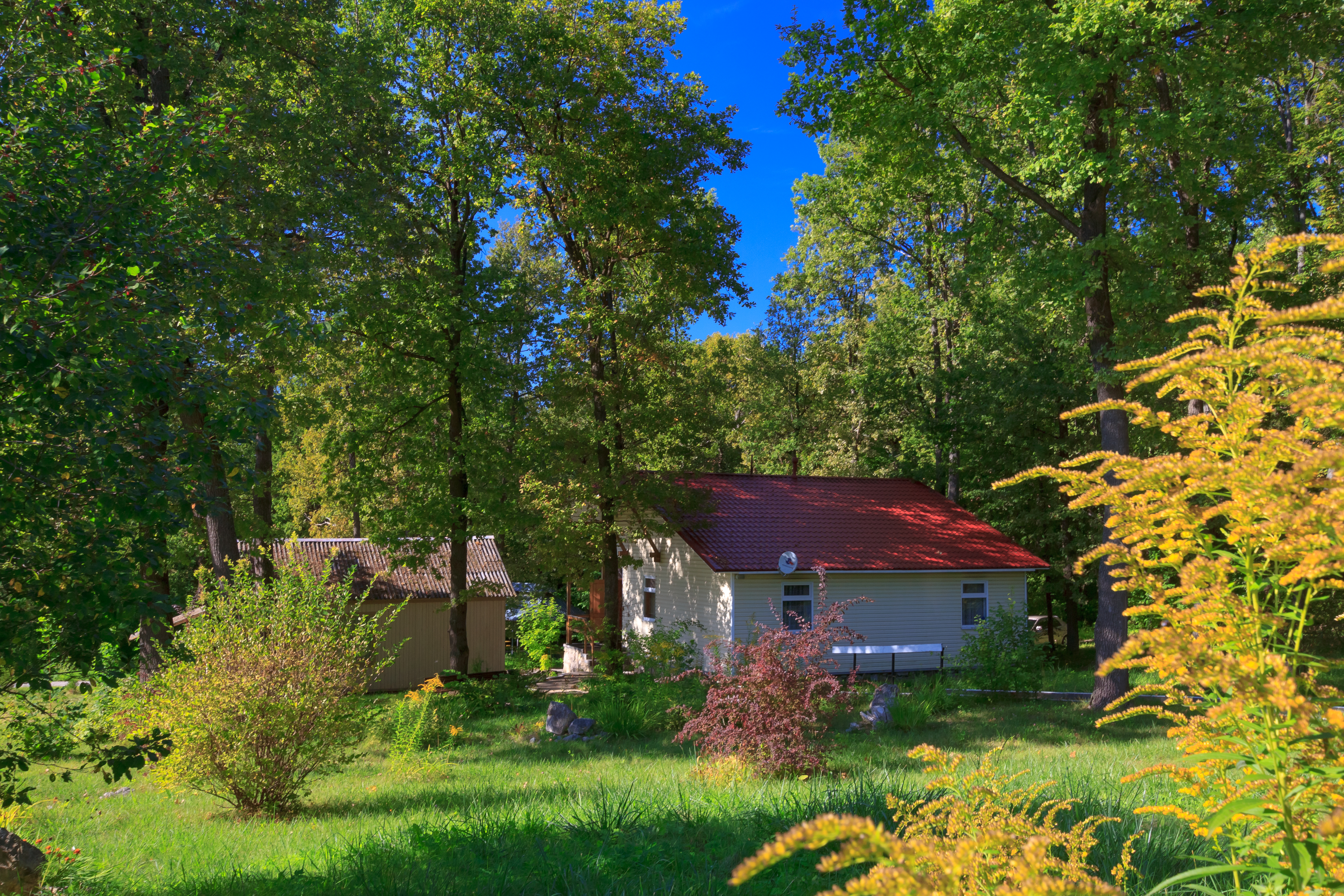 Фото Молния