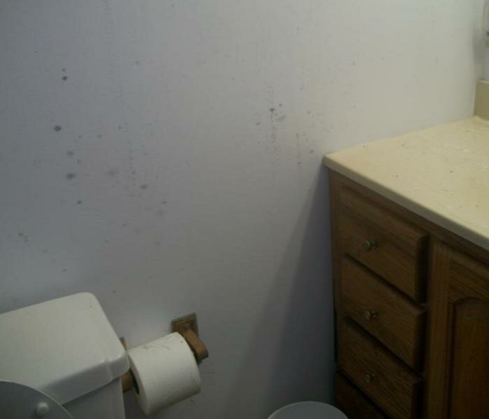 Carpet cleaning Servpro of Teaneck/Englewood, State of New Jersey, photo