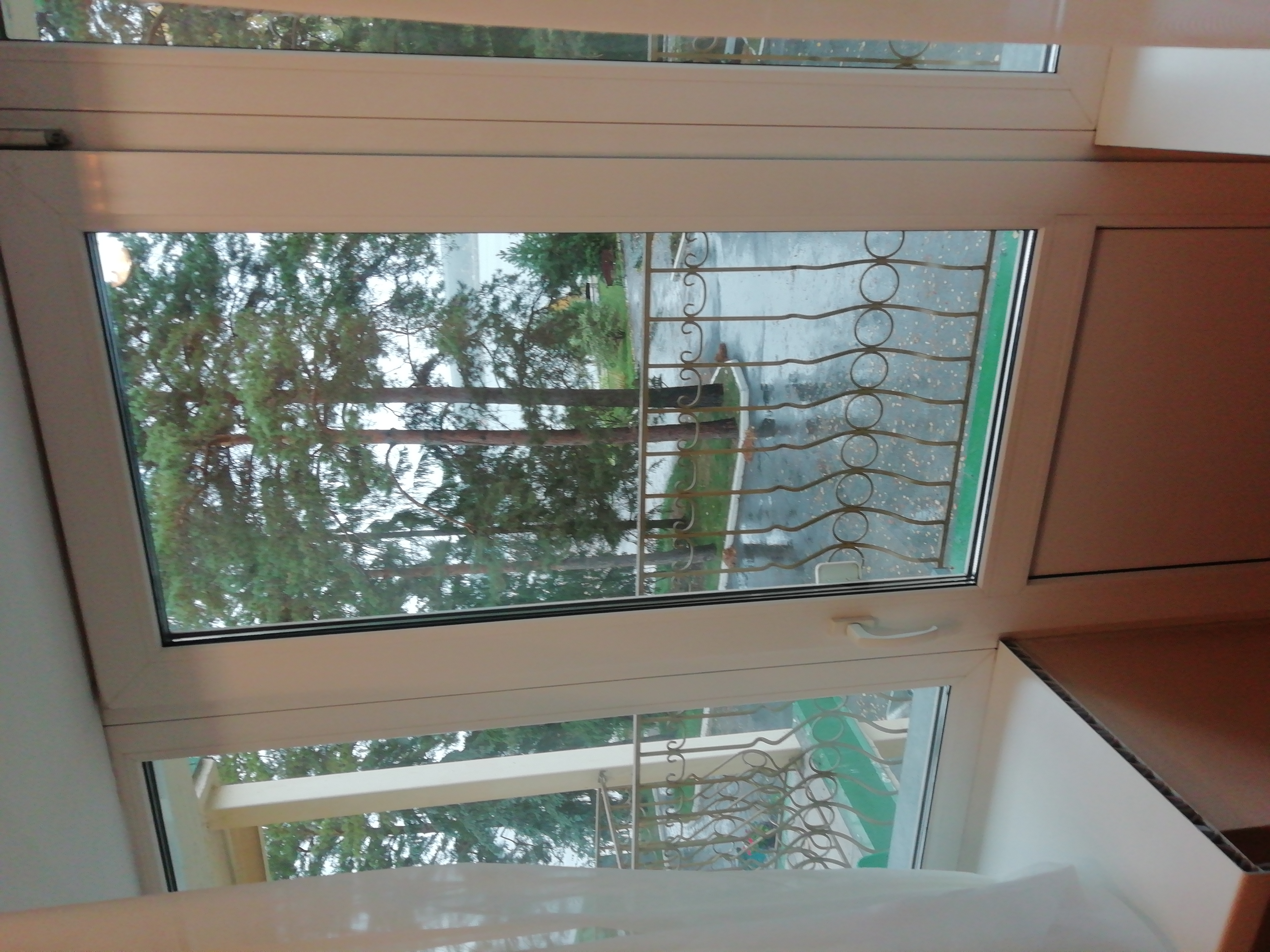 Фото Лесная сказка